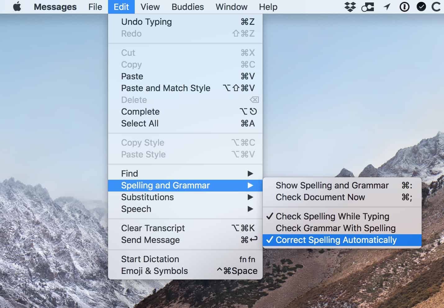 Mac app Edit Menu settings for Spelling and Grammar