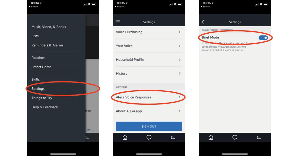Alexa Brief Mode settings in the iPhone Alexa app