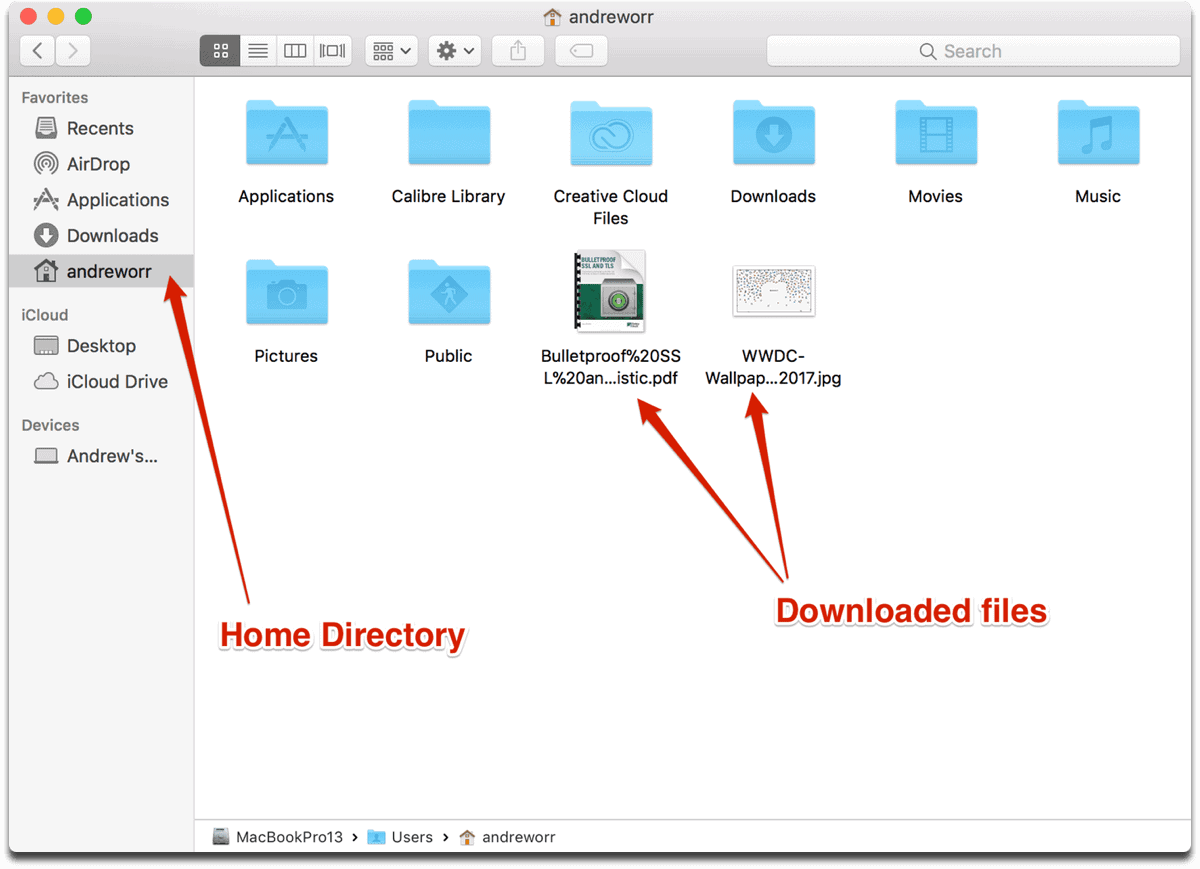 Download files in Terminal. Location of the files in Finder.