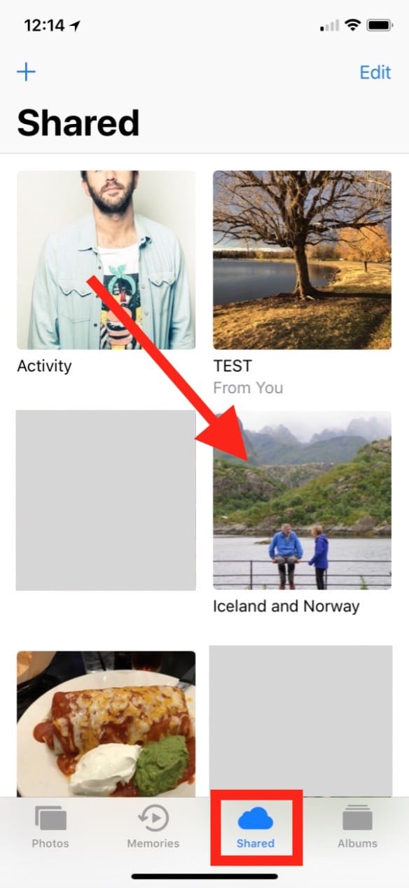 Shared Albums in Photos on iPhone