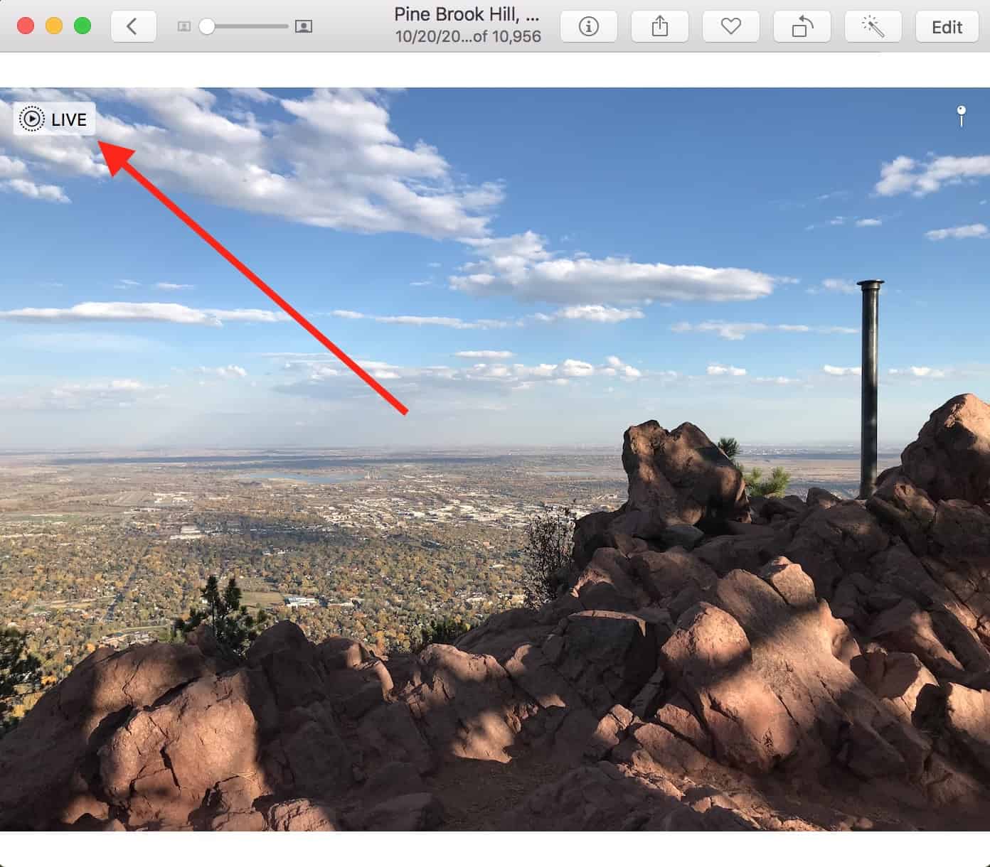 Live Photo Icon in image in Mac Photos app