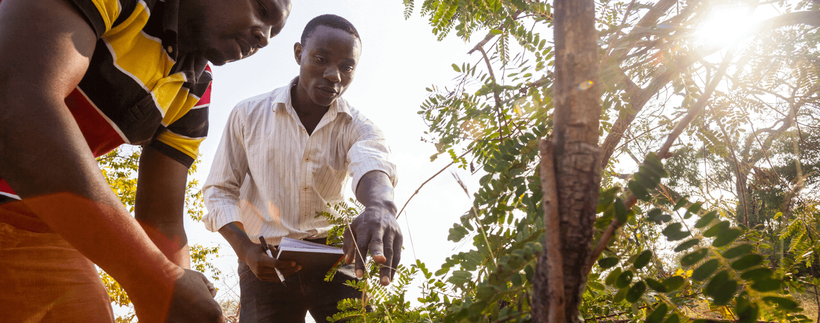 Starting Today, Apple is Making Earth Day Donations and Built a New Robot