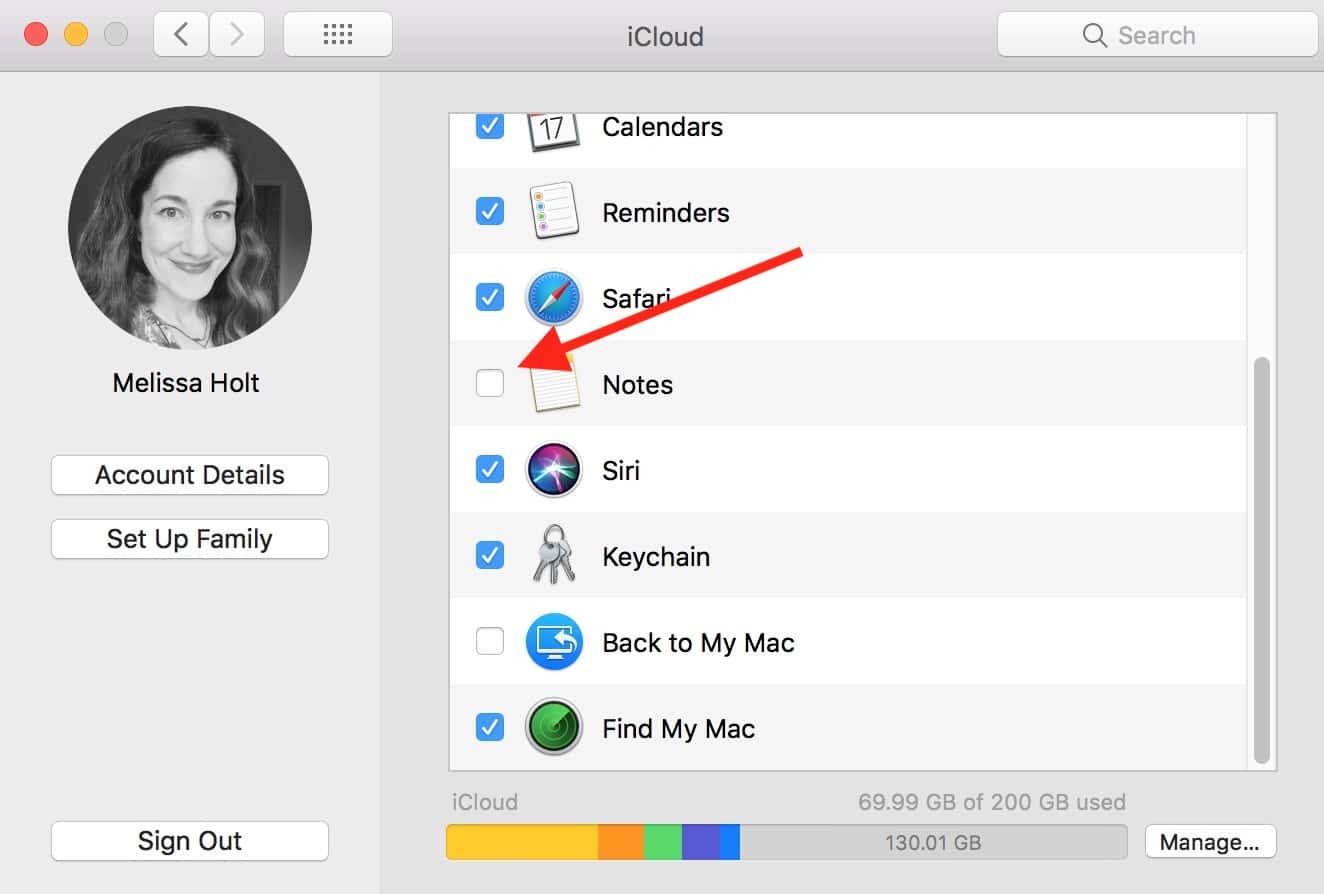 iCloud Settings with Notes syncing unchecked