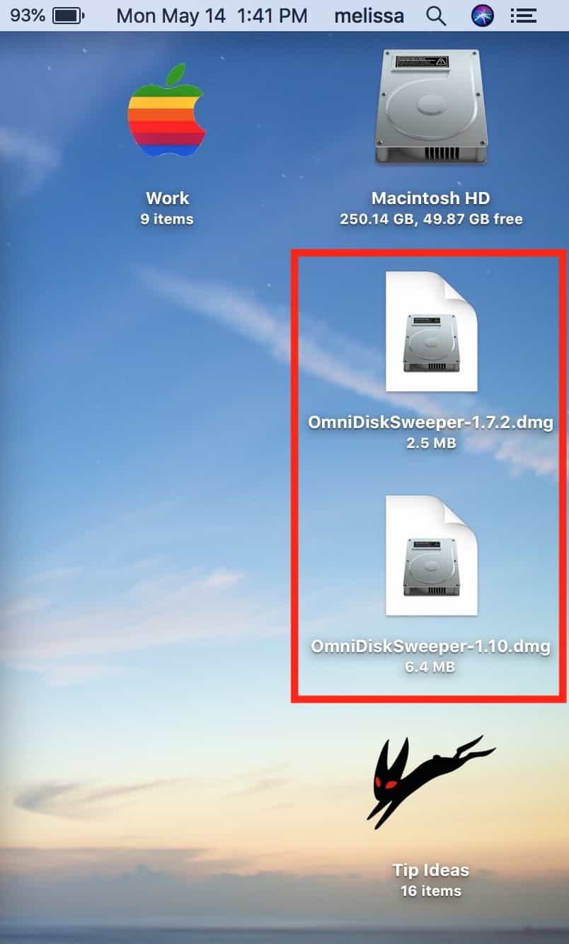 OmniDiskSweeper Files on Desktop