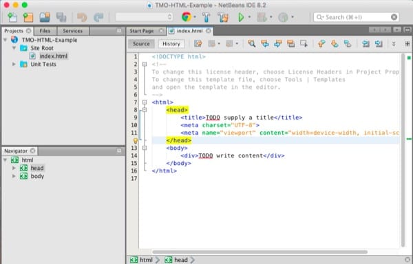 The NetBeans IDE.