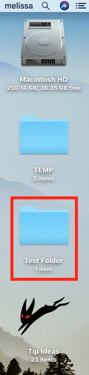 Folder on Mac Desktop ready to merge with another folder