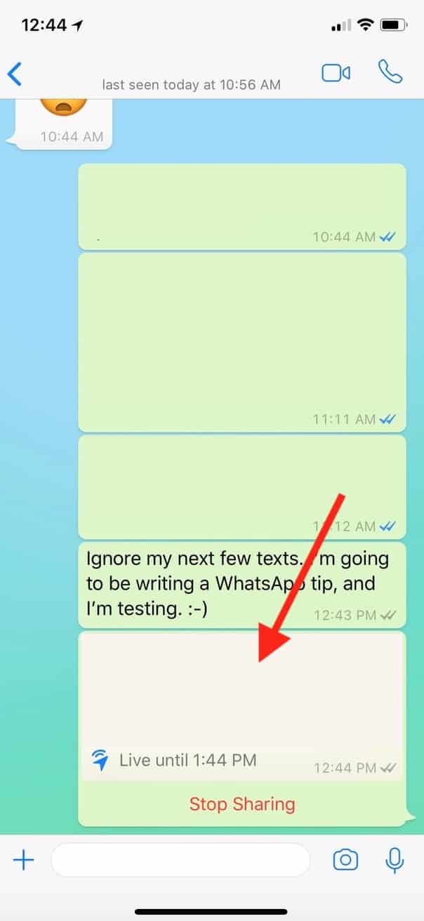 Location Window Within WhatsApp Chat