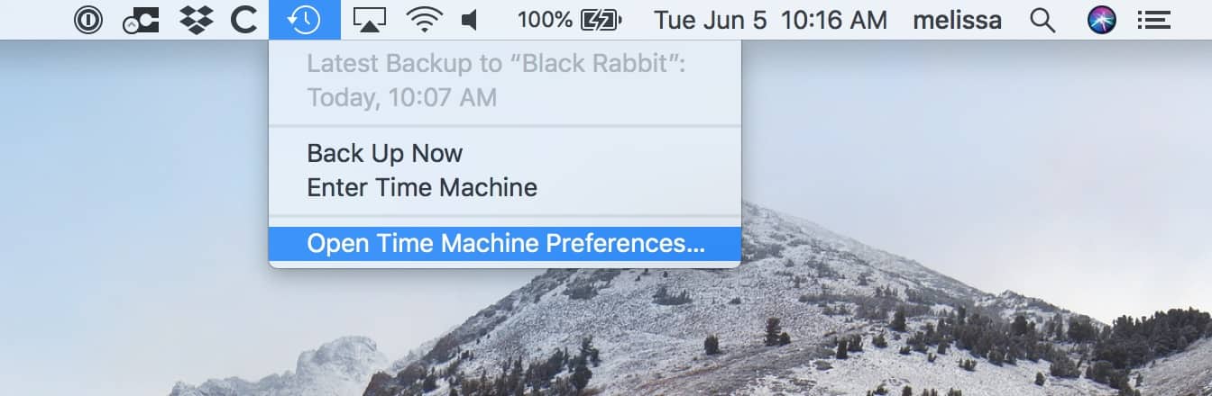 Time Machine Menu Bar on the Mac