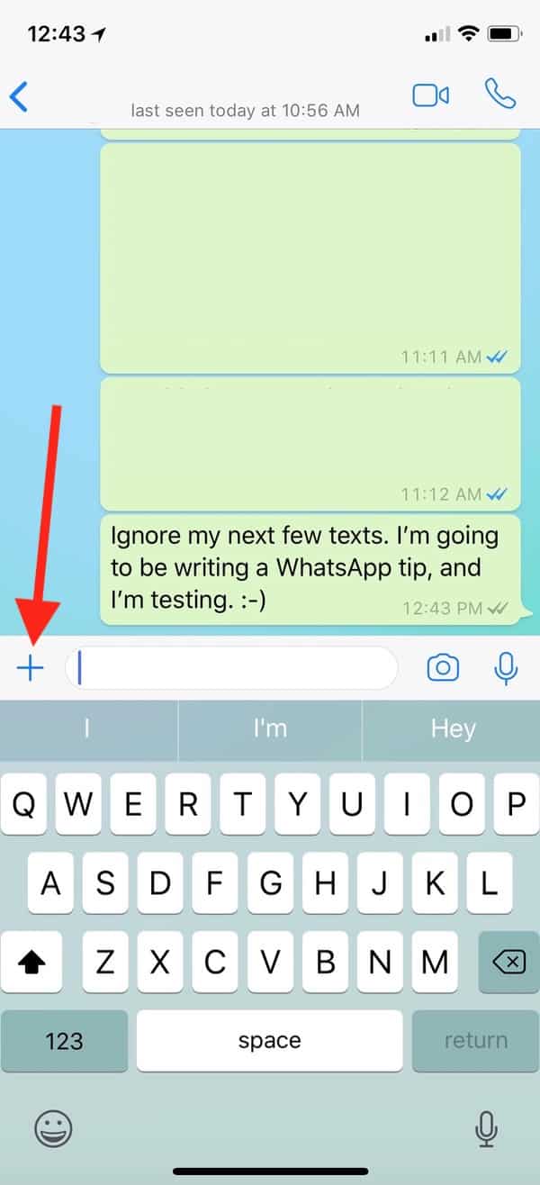 WhatsApp Plus Button reveals location sharing options