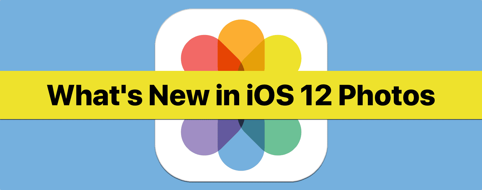 What’s New With the iOS 12 Photos App