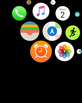 Alarms App on Apple Watch