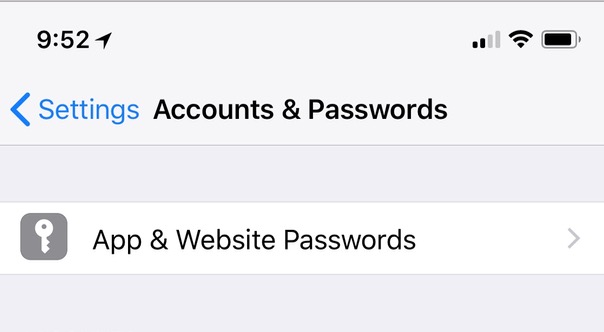 “App & Website Passwords” Section in Accounts & Passwords settings on iPhone