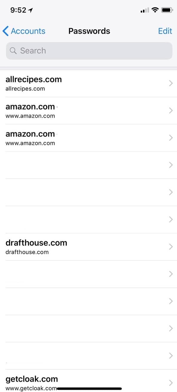 Passwords List in Accounts & Settings on iPhone