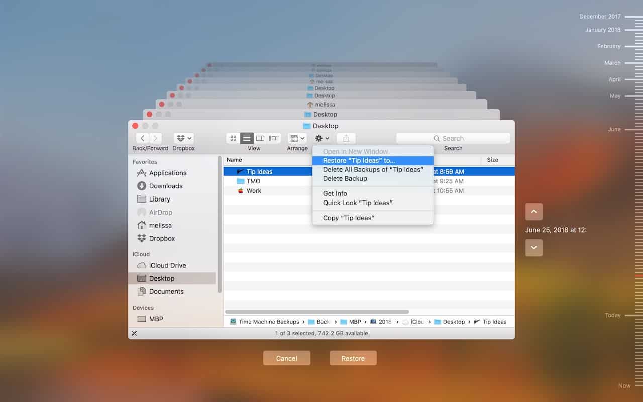 Time Machine Restore Item to Location option on the Mac