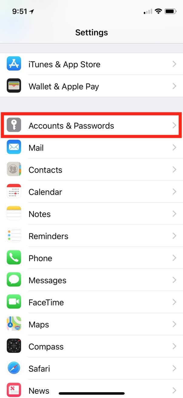 Settings App on iPhone showing Accounts & Passwords