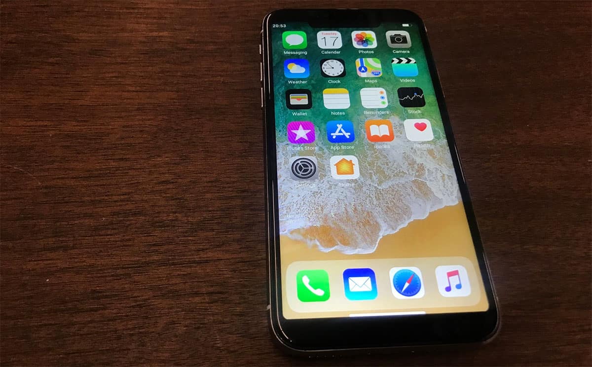 Believe it or not, this is a fake, $100 "iPhone X"