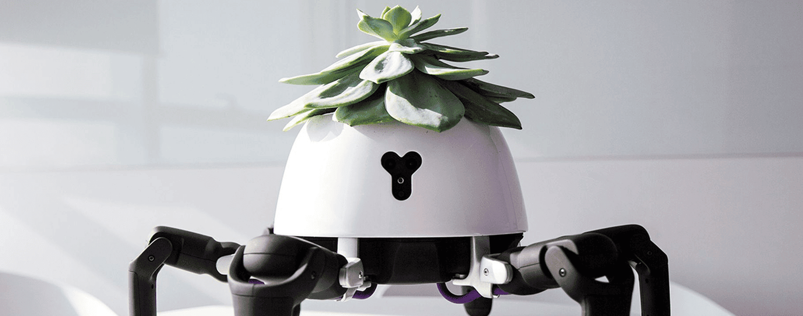 This Robot Gardener Chases After Sunlight