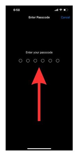 iPhone screen asking for password