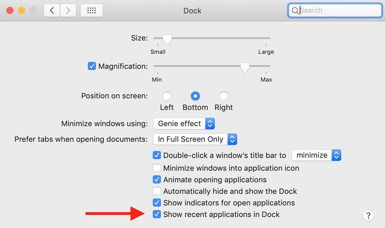 Dock Preferences with "Show recent applications in Dock" option in macOS Mojave