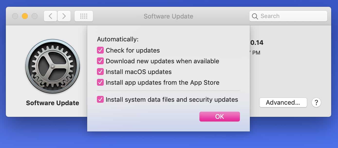 Update-Specific Checkboxes in macOS Mojave