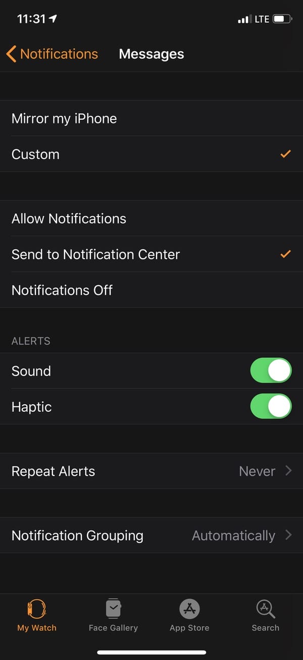 Notifications Settings on Apple Watch