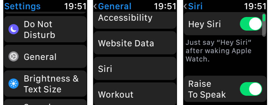 Apple Watch Raise to Speak settings in watchOS 5