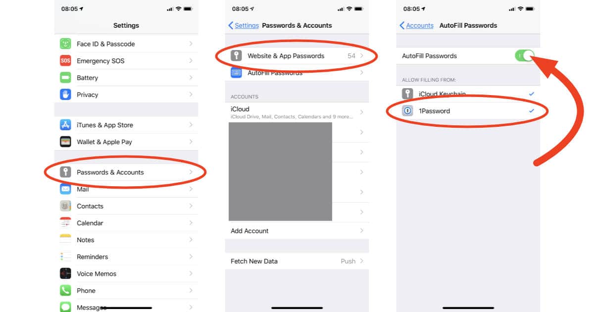 iOS 12 AutoFill Passwords settings on iPhone