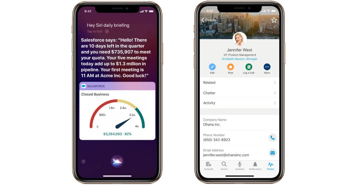 Apple and Salesforce customer service app partnership