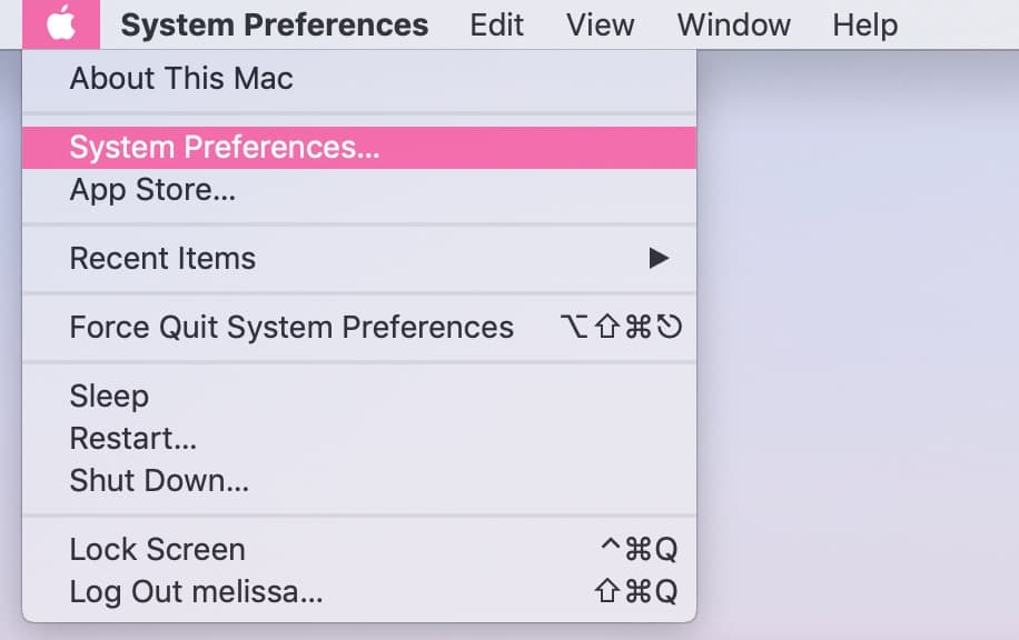 System Preferences Option from the Apple menu on the Mac 