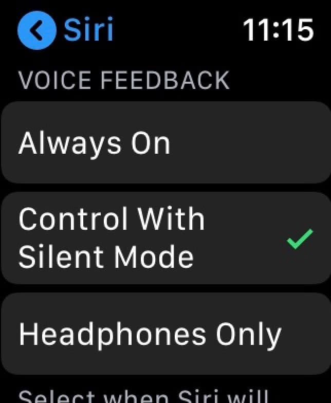 Voice Feedback Settings on Watch
