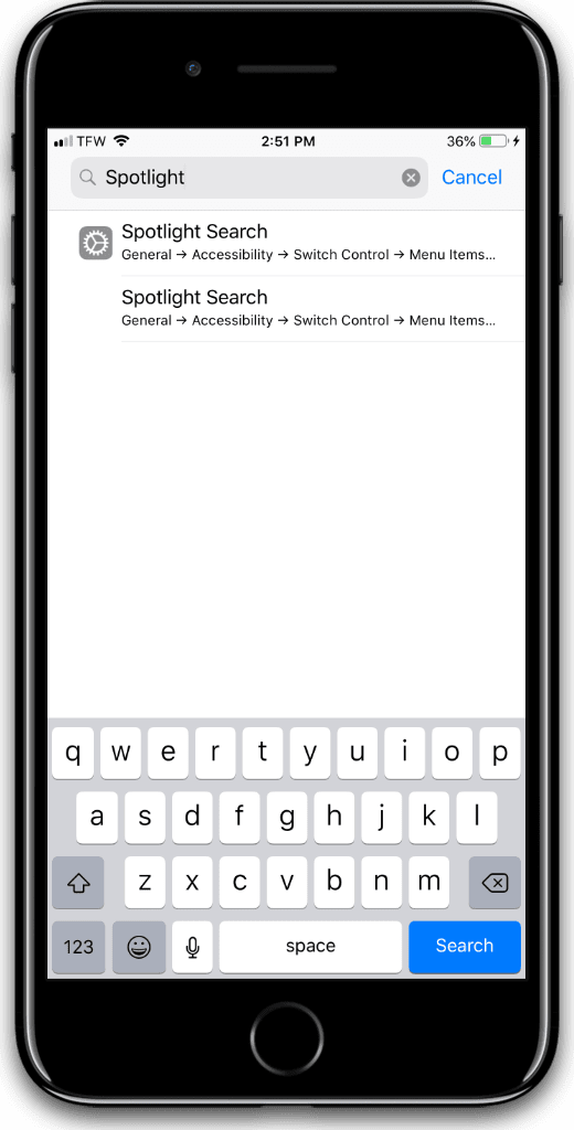 Screenshot of Spotlight search in Settings on iOS.