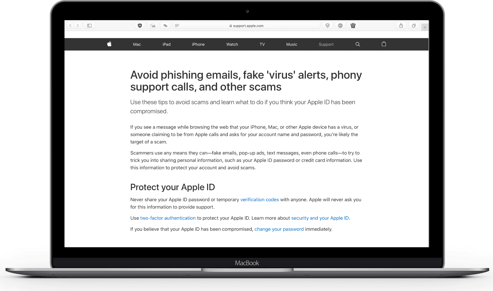 image of apple report phishing website