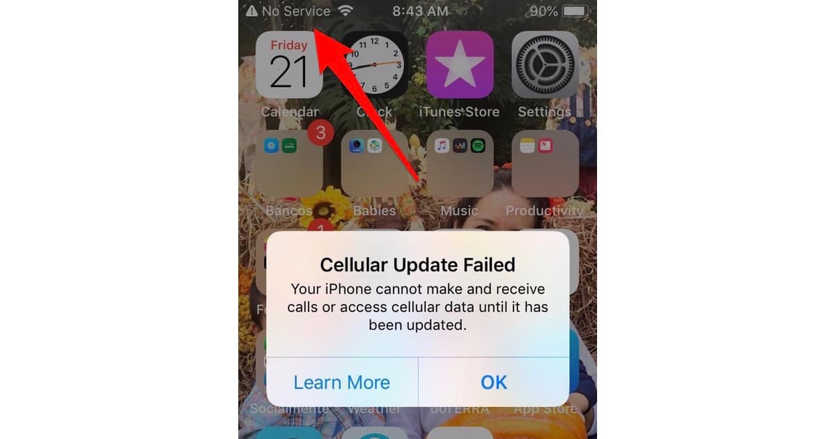 iOS 12.1.2 Stopping Users Accessing Cellular Network