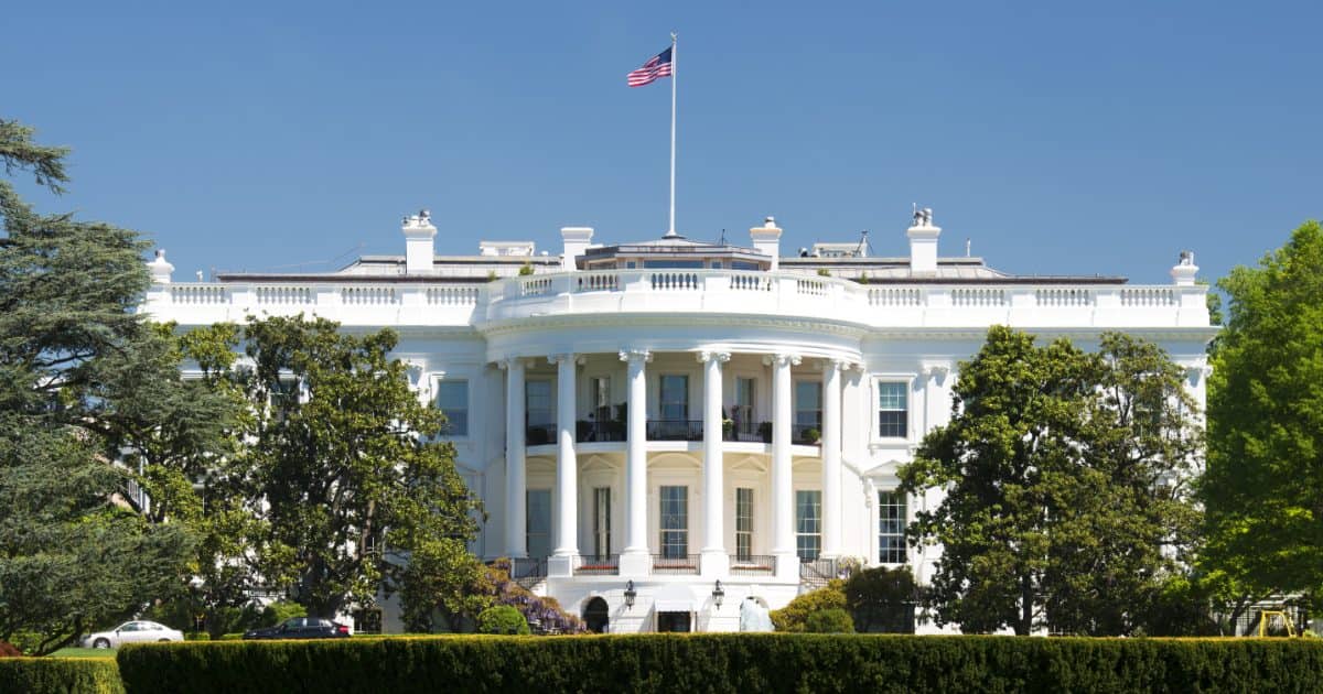 The white house