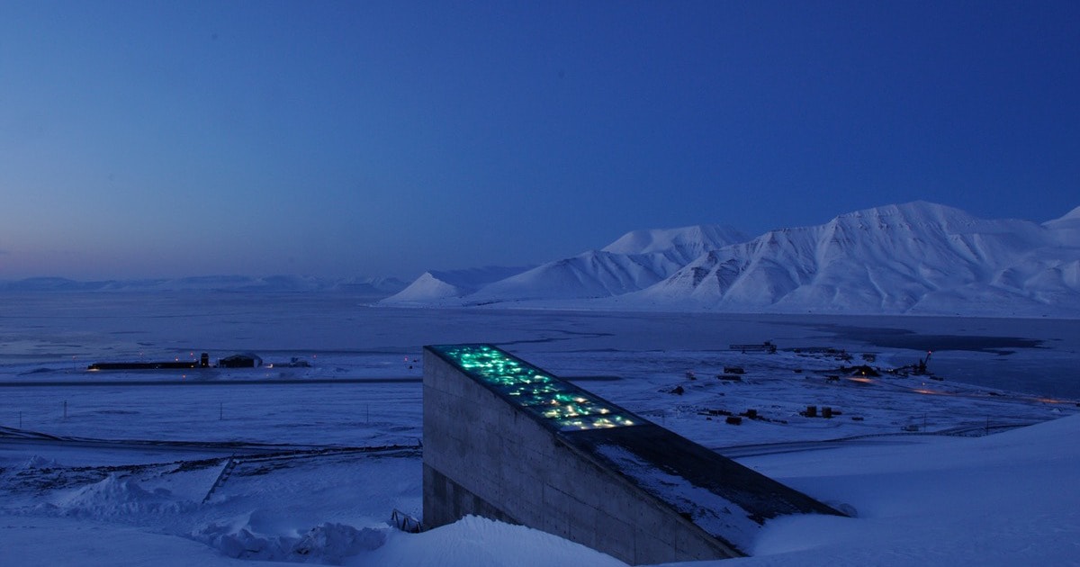 GitHub Preserves its Code in the Arctic World Archive