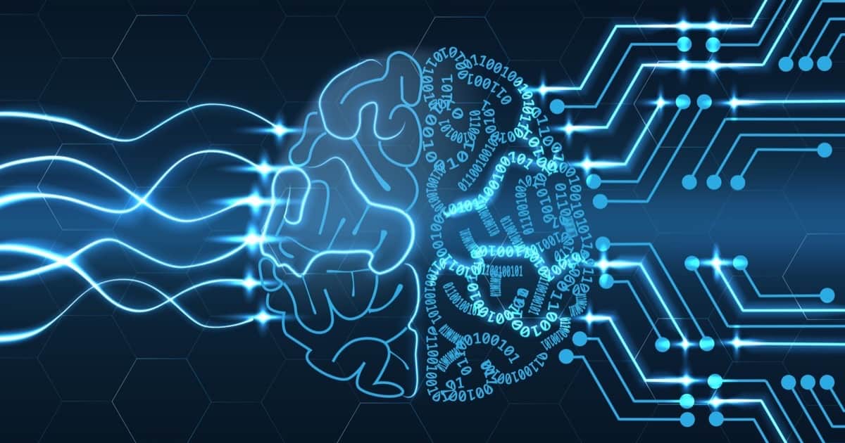 Human brain with neurons and code