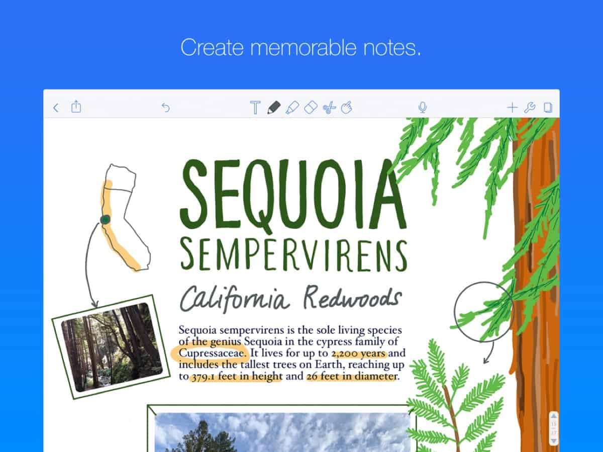 Ginger Labs Updates ‘Notability’ in Time for School