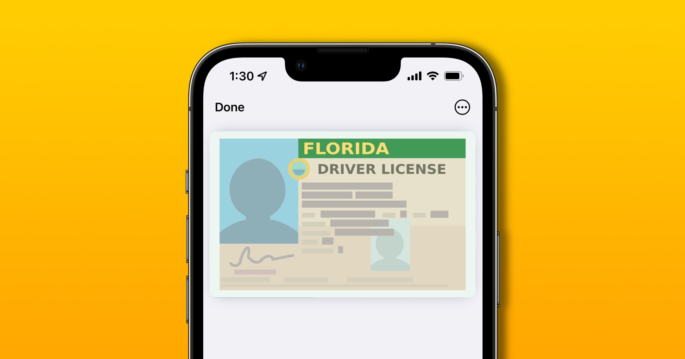 florida digital driver's license example