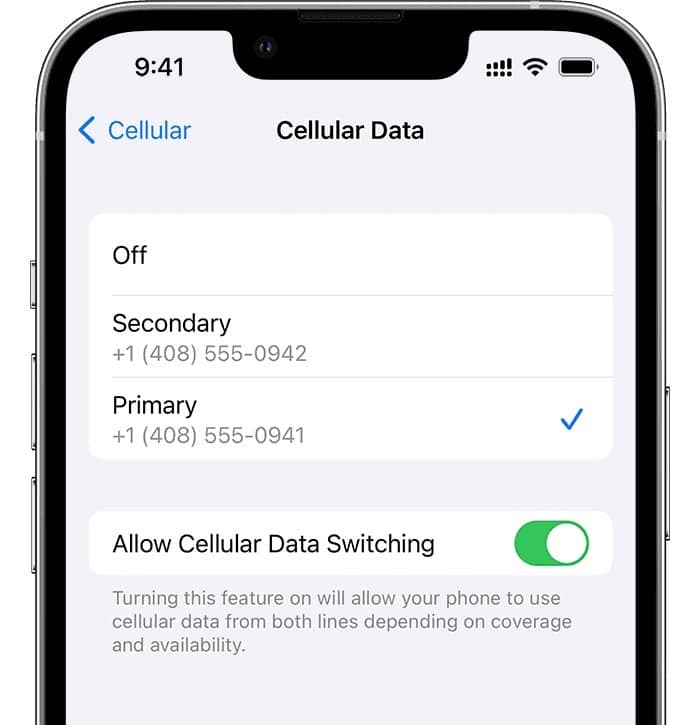 Dual SIM Cellular Data Number