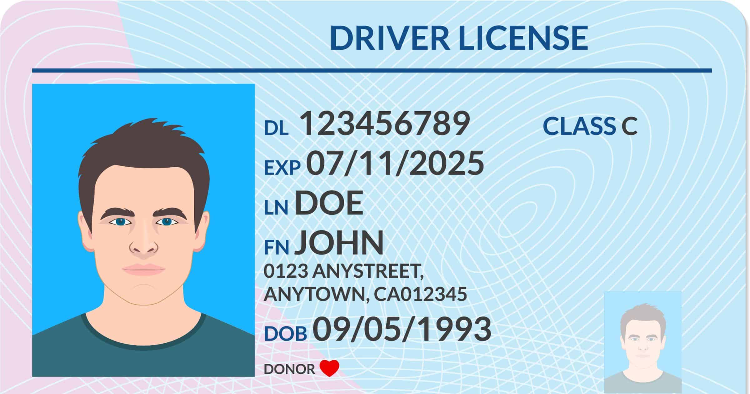generic driver's license