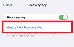tap on Create New Recovery Key