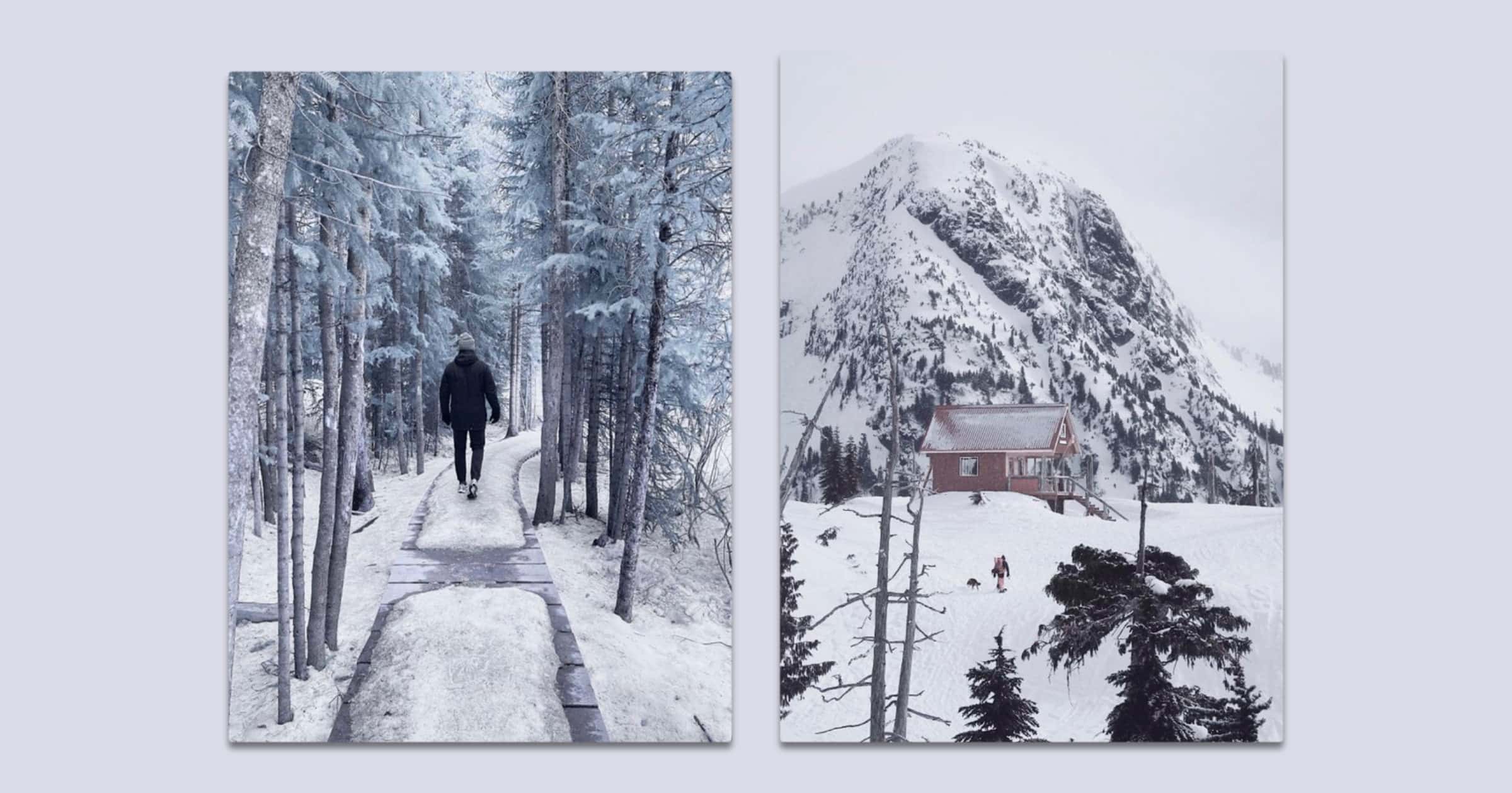 VSCO Introduces New Infrared Photography Presets for Mobile Users