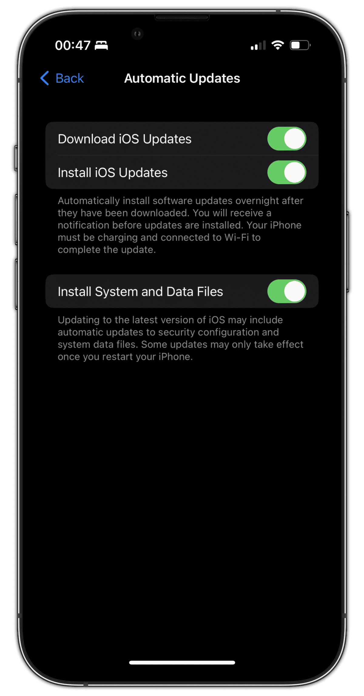 Rapid Security Response Setting on iOS 16