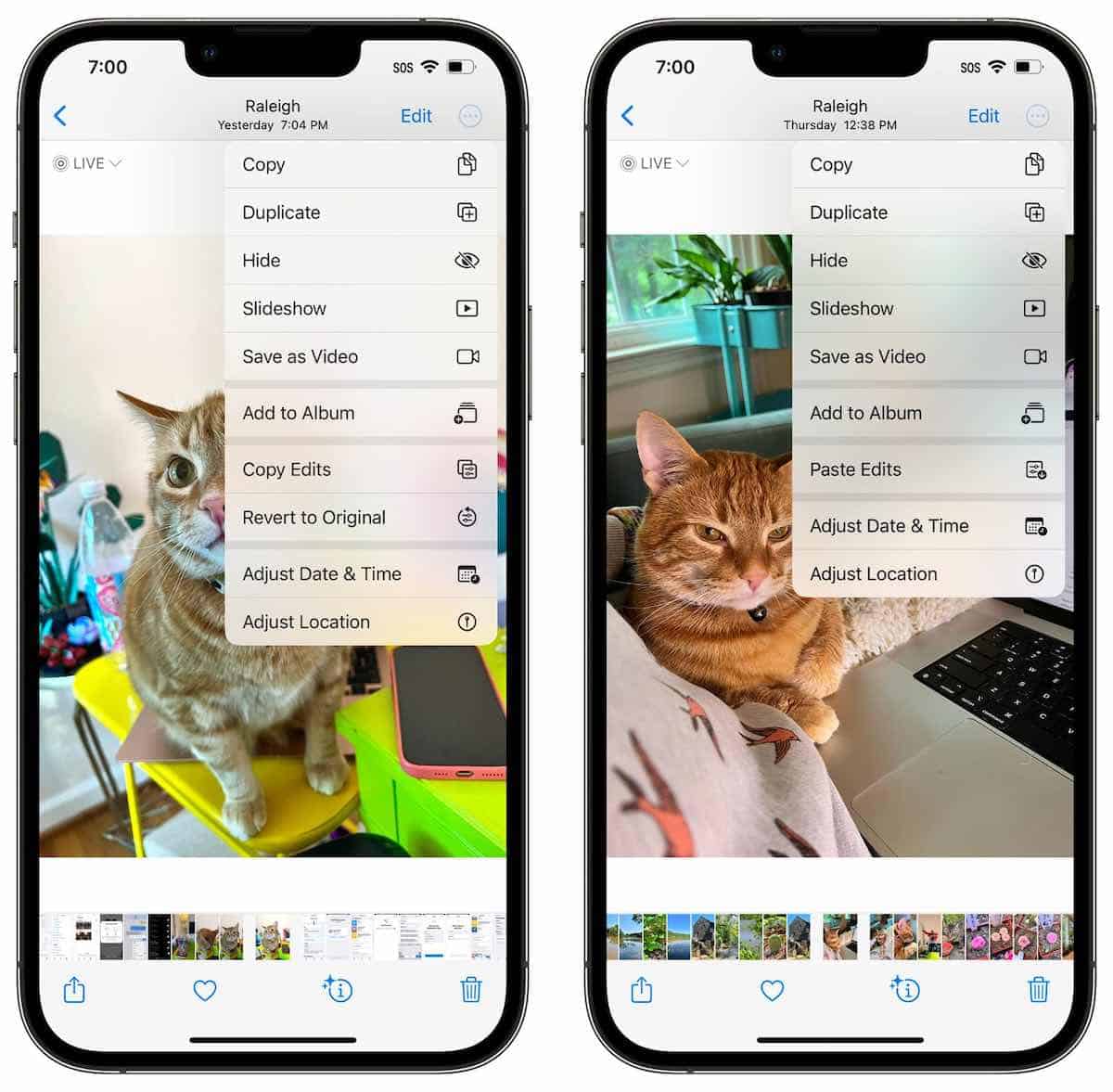 iOS16PhotosFeatures