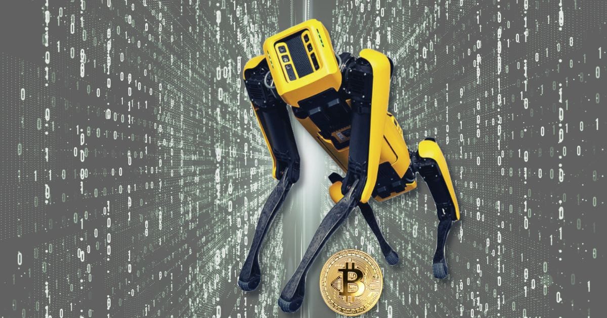 Wales Man Hopes to Recover 8,000 Bitcoins Using Robot Dogs