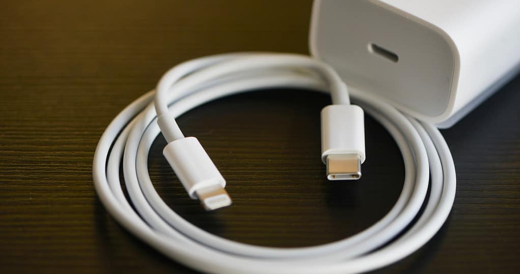 Brazil iPhone charger