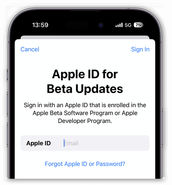 Change Apple ID for Beta - Step 3