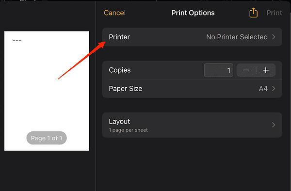 printer_options how to print from pages on ipad