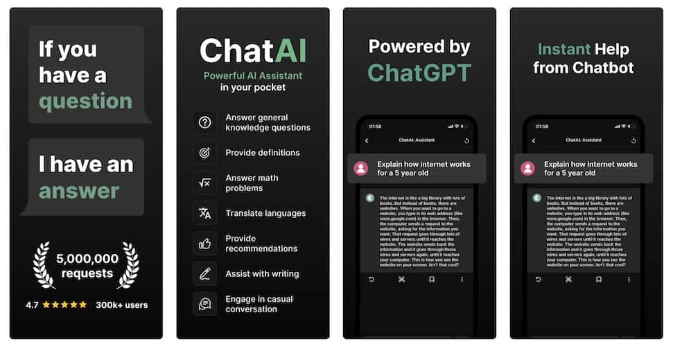 Ask Chatbot AI Assistant screenshot