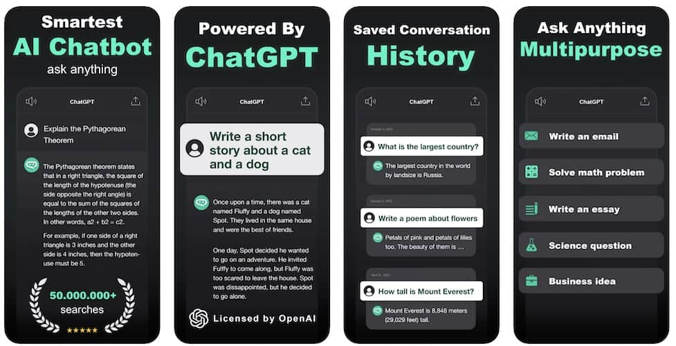 Chatbot Essay Writer Screenshot